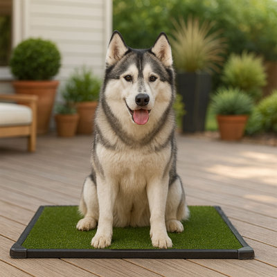 PETMAKER 35.5x23.5in Dog Grass Pad with Tray