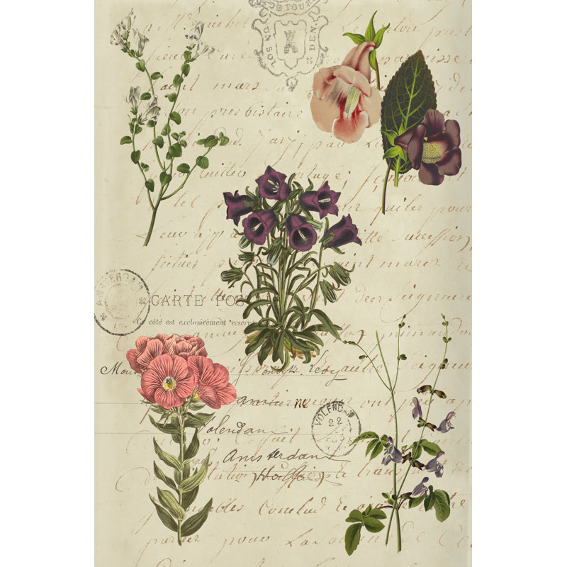 Postscript Flower Chart II 1 Piece Wrapped Canvas Wall Art, 122cm H x 81cm W x 3.8cm D
