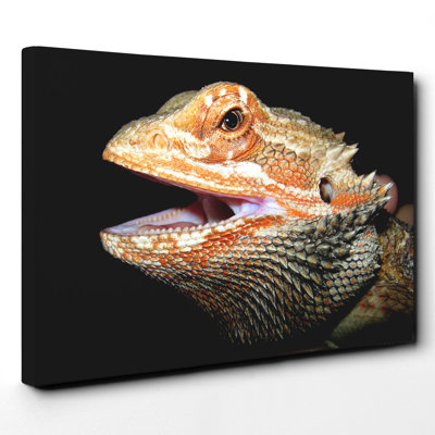 Bearded Dragon Lizard - Wall Art