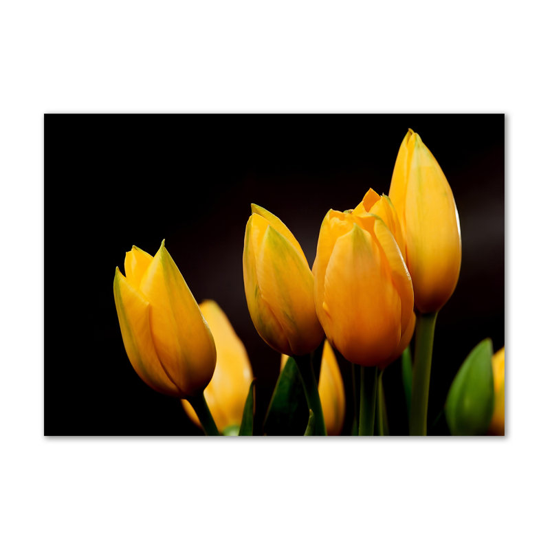Yellow Tulips - Wrapped Canvas Print