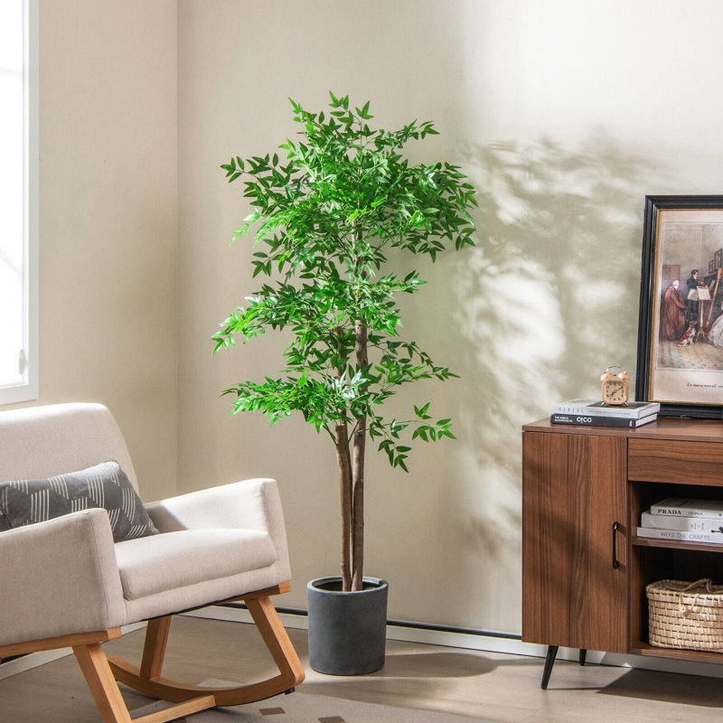 Aniceto 160cm Plant