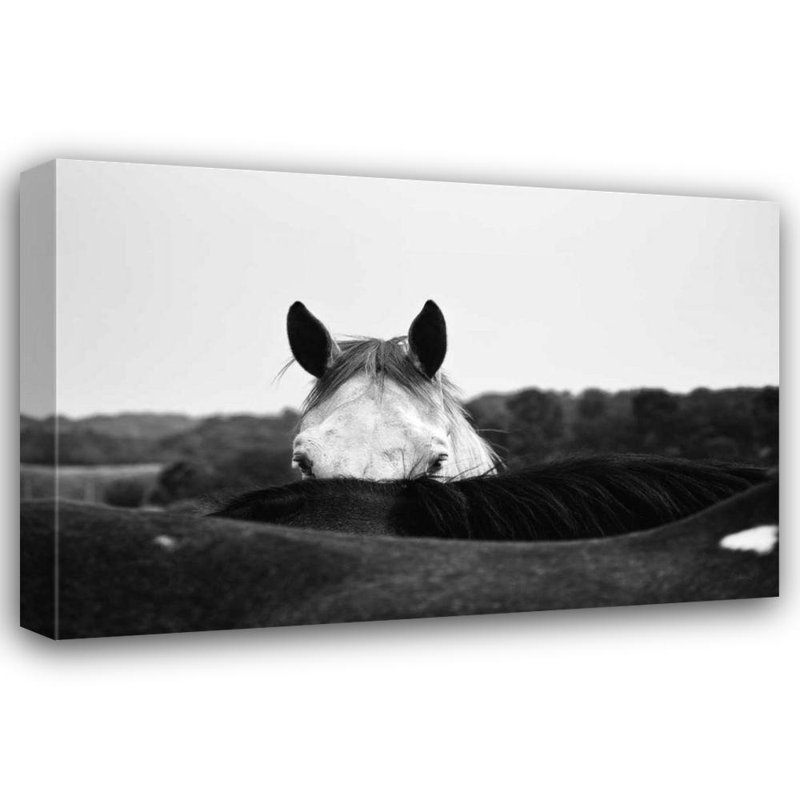 Art sur toile Lark Manor ™ Aledanda, titré: Flirt, H 13 po x l 18 po