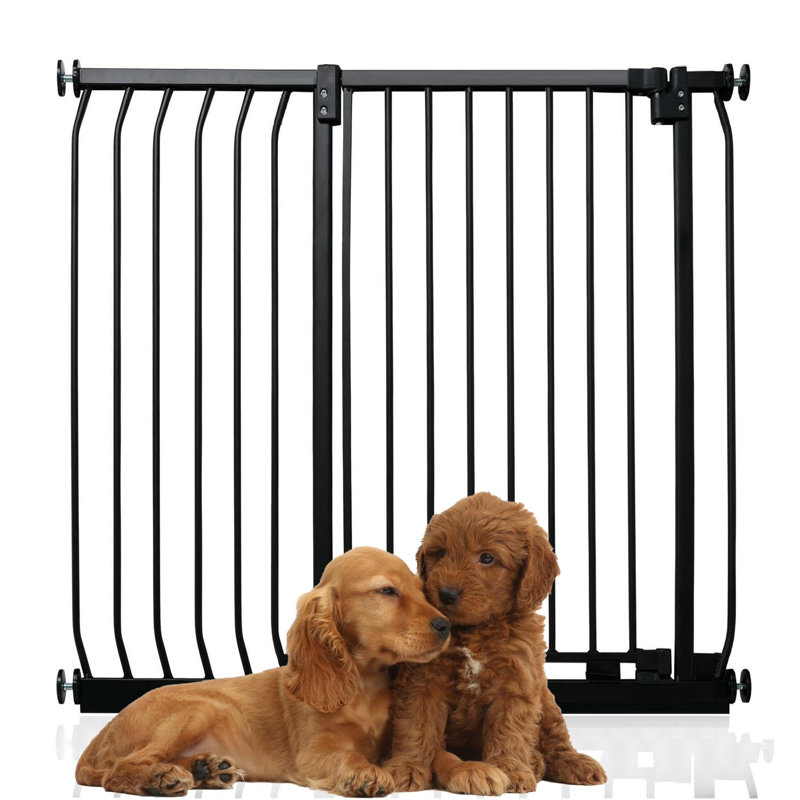 Metal Pressure Mounted Pet Gate, 98cm - 107cm, Black