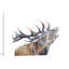 « murdo », impression sur toile-19560104-74878911-74878913