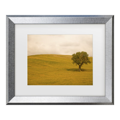 Caroyl La Barge Field In Lower Tuscany Matted Framed Art
