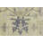 Performance Wool Oriental Indoor Rug
