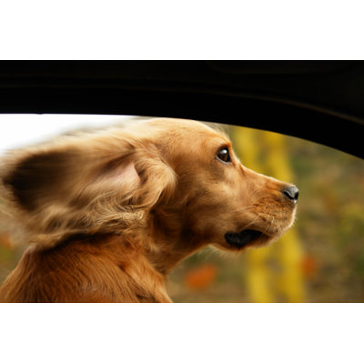 Happy road trip 1 Piece Wrapped Canvas Wall Art