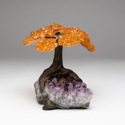Véritable citrine en grappe sur améthyste (l'arbre d'argent)