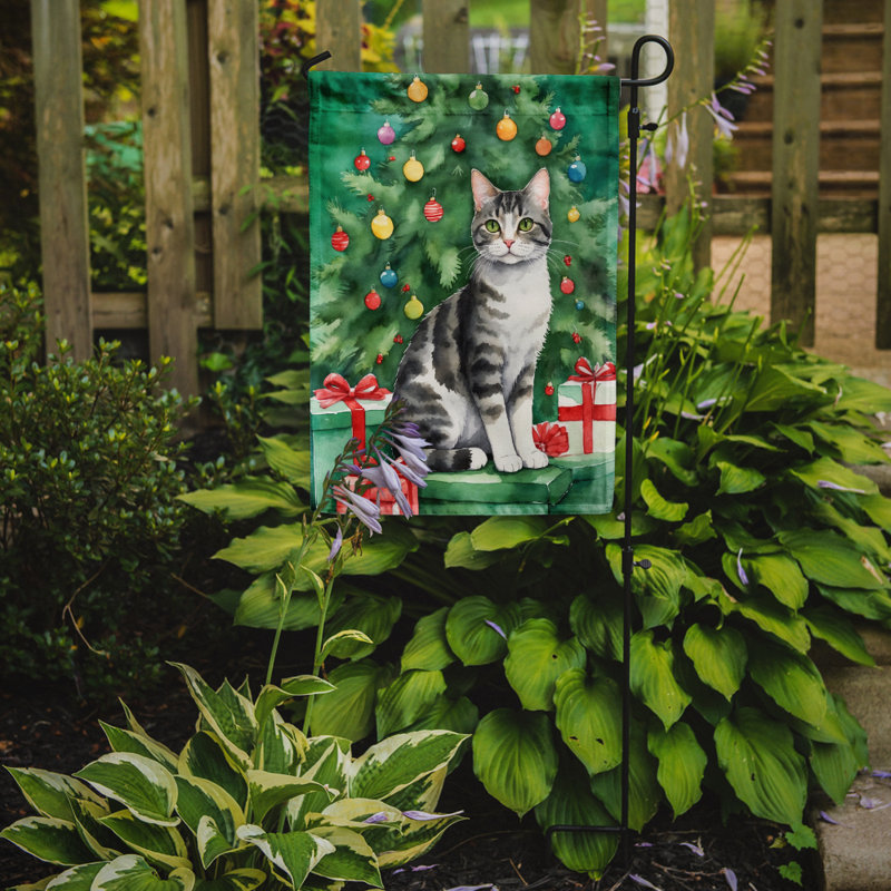 Drapeau de jardin Pixie Bob, American Wirehair