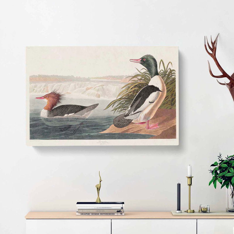 Goosander Ducks - Wrapped Canvas Painting, 35cm H x 50cm W x 3cm D