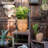 Petekar Pot Planter-443271996