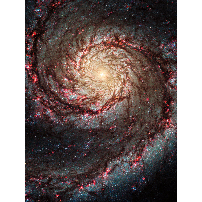 Great Beyond by Wild Apple Portfolio, 40" H x 30" W
