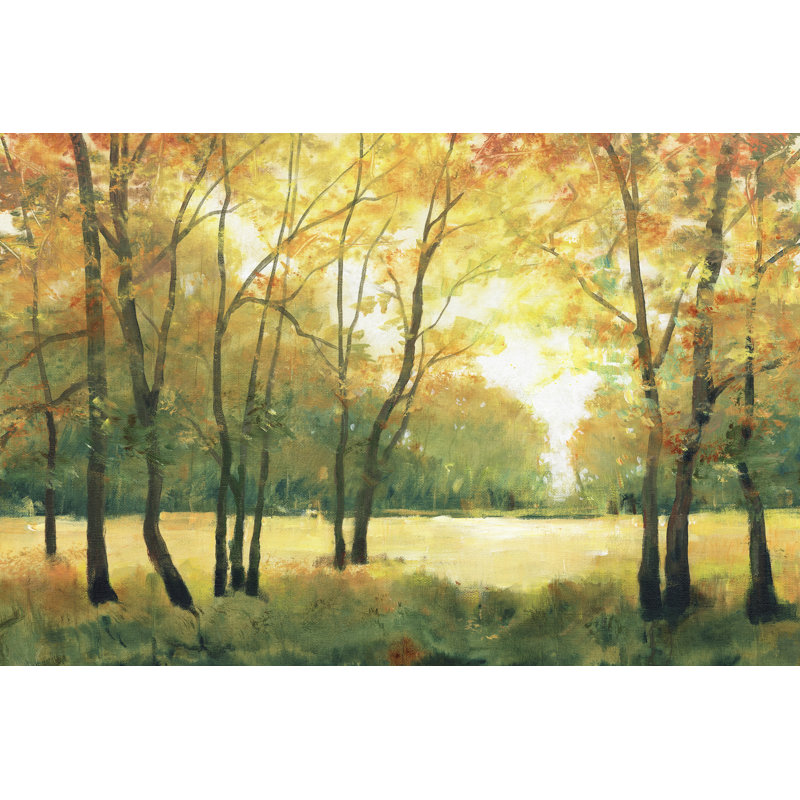 Fall Retreat II by Tim OToole - Wrapped Canvas Print, 30.48cm H x 45.72cm W