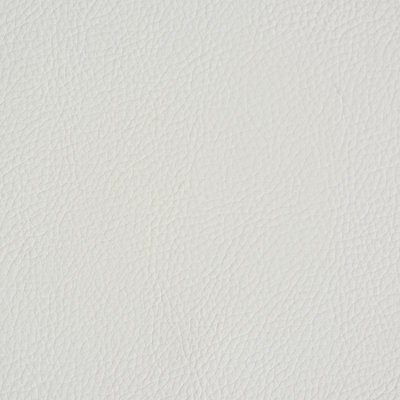 Vegan Leather Indoor/Outdoor Fabric