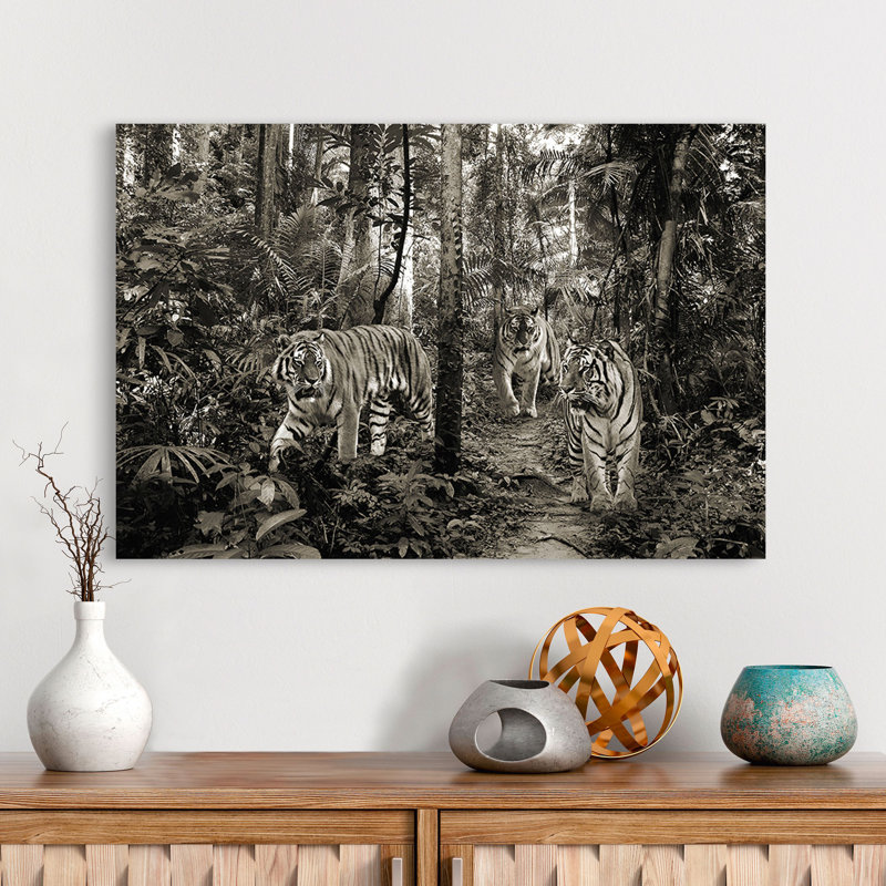 Bengal Tigers (BW) - Wrapped Canvas Print, 60cm H x 80cm W x 4cm D