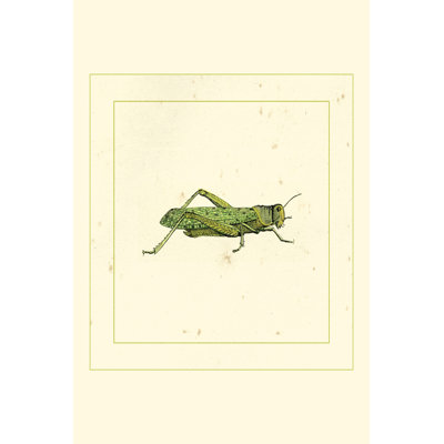 Hopper 1 Piece Wrapped Canvas Wall Art