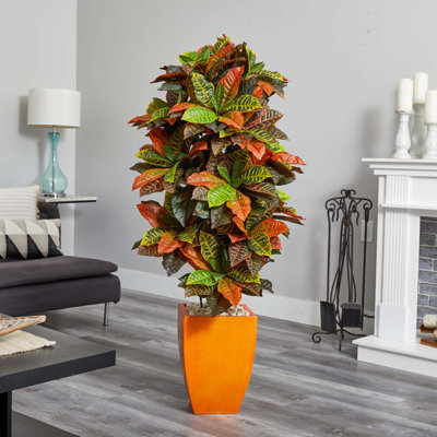 66'' Faux Croton Plant in Ceramic Planter