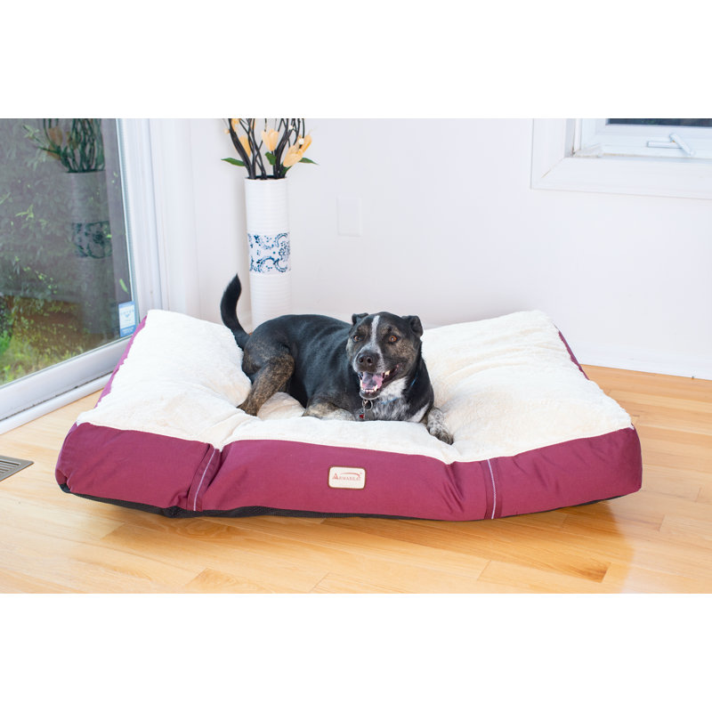 Toile avec tapis pour chien en peluche, Moyen (l 28 po x P 21 po x H 5 po)