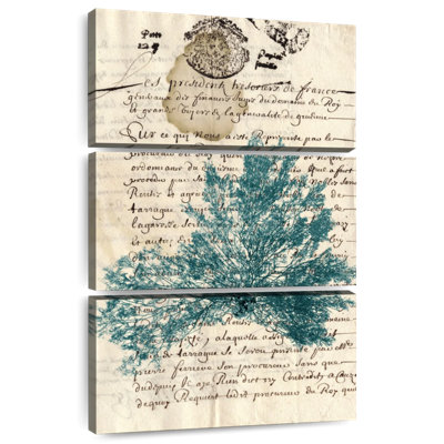 Algue Brampt rétro bleu sarcelle III