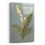  «May Lily Of The Valley Green» par Danhui Nai, art mural en verre acrylique, 24 po x 36 po