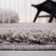 Siragan Shag 500 Performance Solid Color Rug
