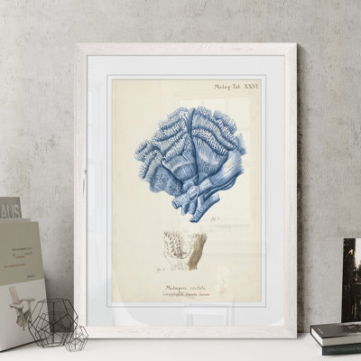 " Antique Coral In Navy II " by Paul Cezanne