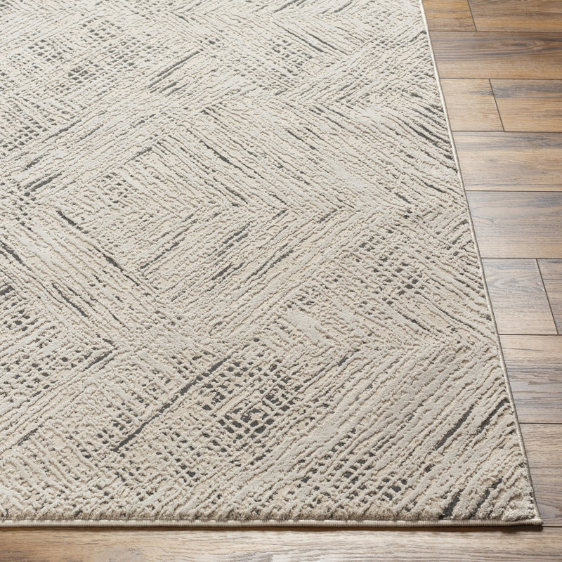 Jazline Light Grey Machine Washable Area Rug, Rectangle 5' x 7'
