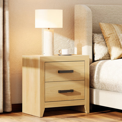 Elaisha 2-Drawer Manufactured Wood End Table