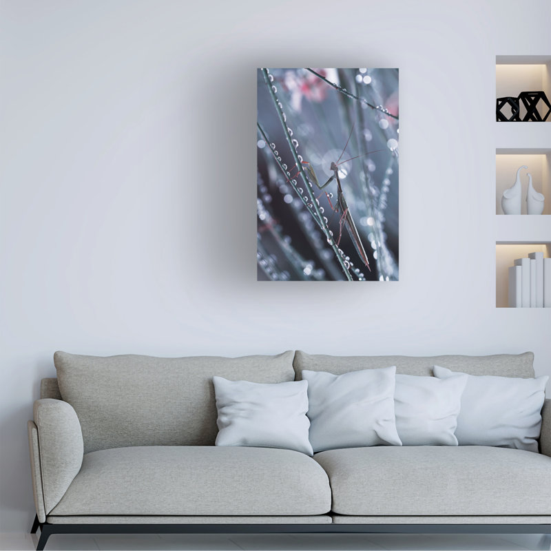 Art sur toile Fabien BRAVIN Perrier Cest Fou, H 19 po x l 12 po