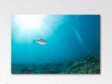 Stretched On Wooden Frame Print on Canvas, 80cm H x 120cm W x 2cm D