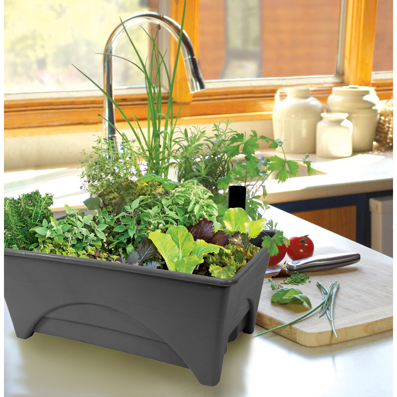Pot à fleurs surélevé en plastique Fentress, Ardoise