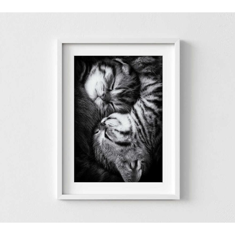 Art mural chat: Yin et Yang noir et blanc - encadré ou non, H 24 po x l 32 po, Blanc, Blanc