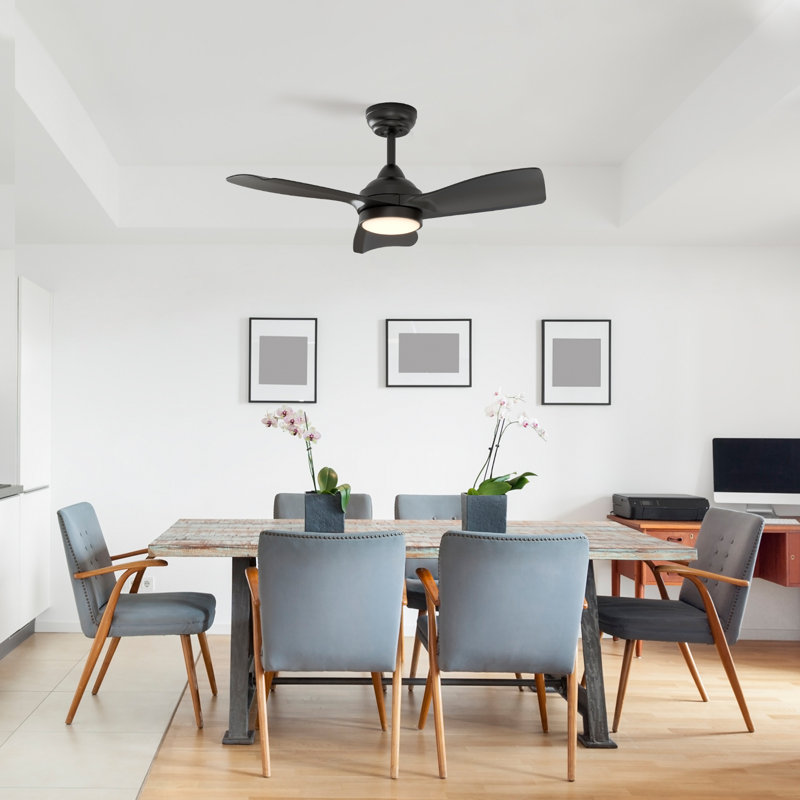 30 Inch Indoor Ceiling Fans with Lights and Remote Control, DC Slient Motor, Dimmable, Reversible, Timmer, 3 CCT, Black