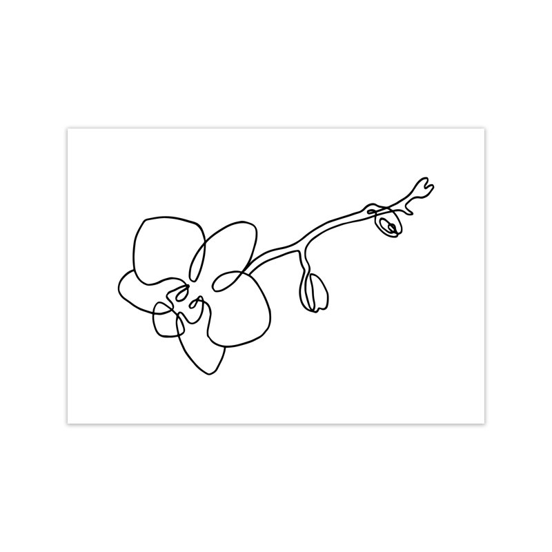 Orchid - Print, No Frame, 42cm H x 59.4cm W x 1cm D