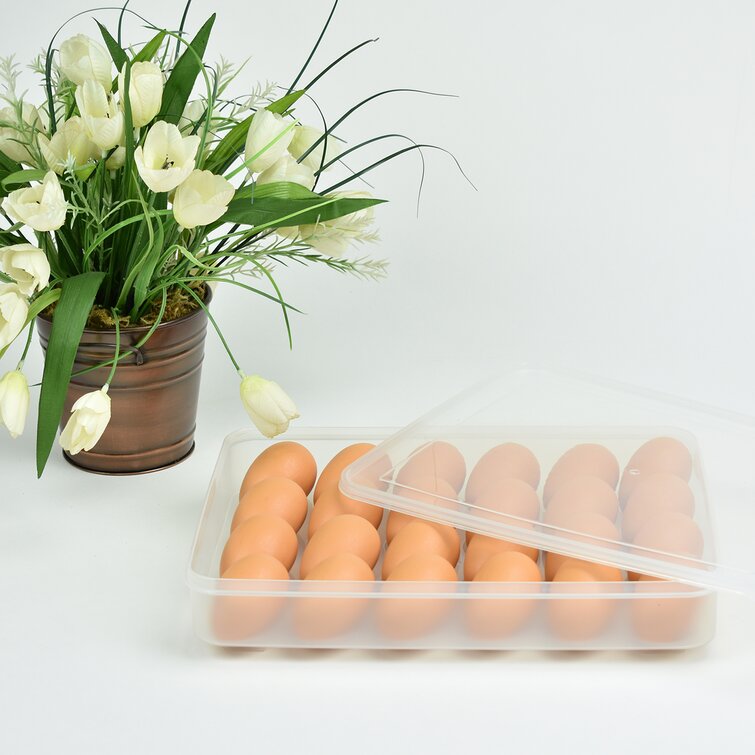 Omnlware 24 Eggs Rectangle Plastic Food Storage Container with Lid