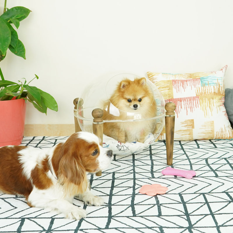 Thad Pet Bed, Clear