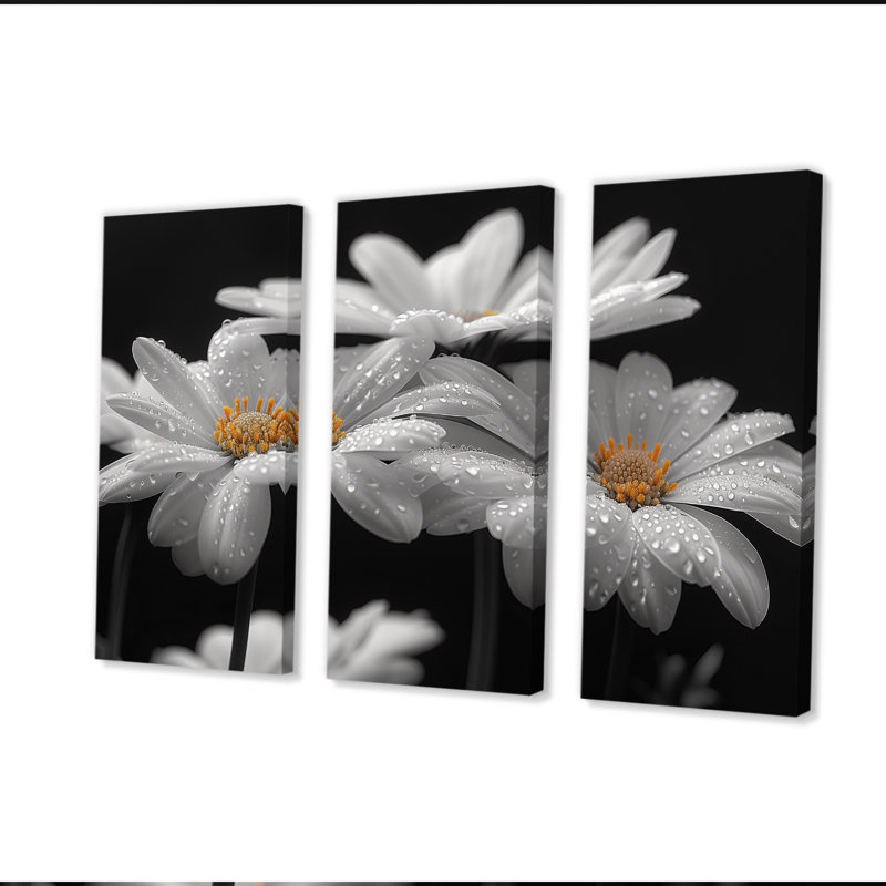 Monochromes noir et blanc «Bliss Daisy Photo III» - impression d'art mural marguerites, Toile tendue