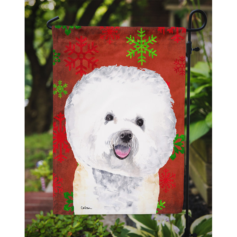 Drapeau rouge et vert Vart, Bichon frisé 1