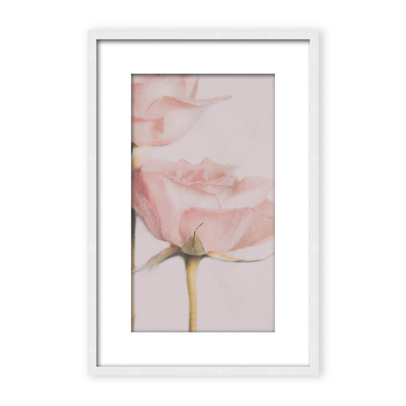 Nature Inspired Two Roses by  - Picture Frame Photograph on Paper, 24" H x 16" W x 1.125" D, Black, Framed Matted Print