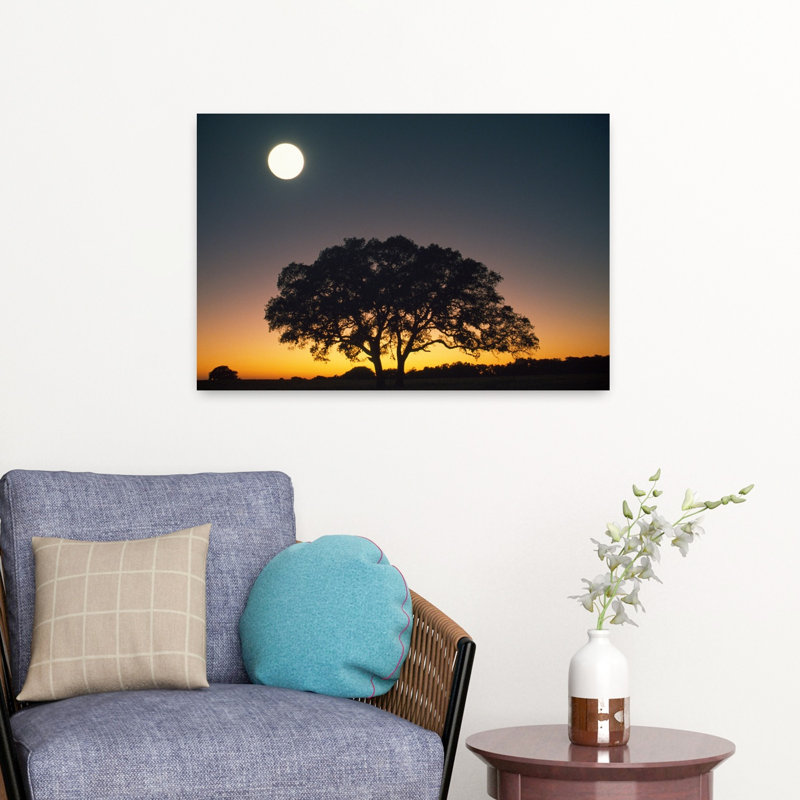 Pleine lune sur un arbre silhouette tranquille, art contemporain contemporain, H 16 po x l 24 po