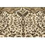 Tapis oriental Delaportilla