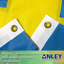 Drapeau suédois brodé H 36 po x l 60 po EverStrong Series