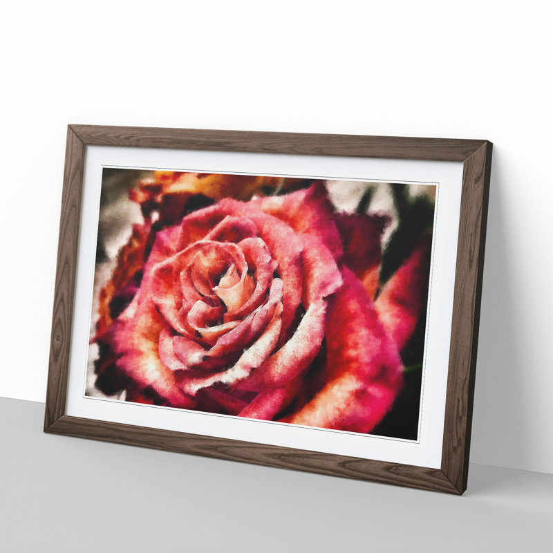 Pink Rose Flower Vol.4 - Framed Print, 27cm H x 36cm W x 2cm D, Walnut Framed