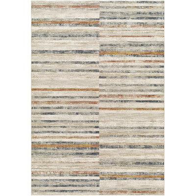 Striped Indoor Rug