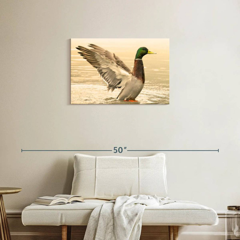 Canard colvert majestueux Brampt, H 20 po x l 30 po