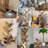 Floor Bamboo Tree Bookshelf-1371154141