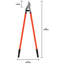 Loppers de plantation professionnelle et d’arbre paysage-47864742