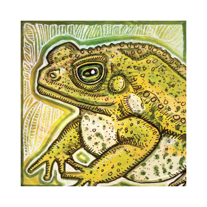 Fat Toad by Lynnette Shelley - Print on Canvas, Wrapped Canvas, 66.04 cm H x 66.04 cm W x 1.91 cm D