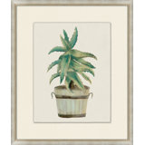 Aloe Pot 7 Print
