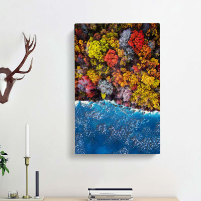 Forest View - Wrapped Canvas